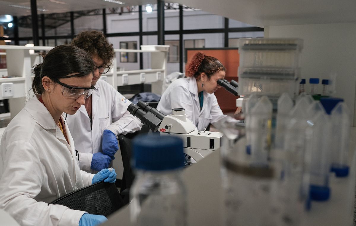 SINTPq destaca o samba na luta da classe trabalhadora