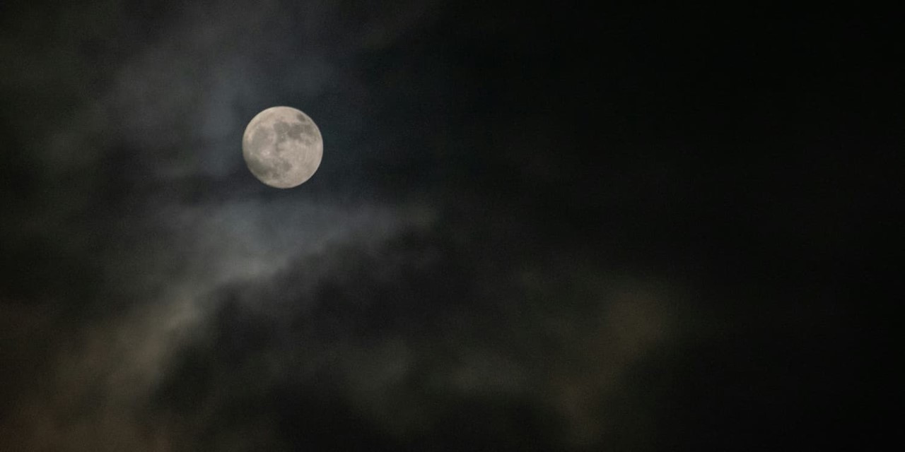 Campinas inicia 2026 com Campanha de Popularização do Teatro