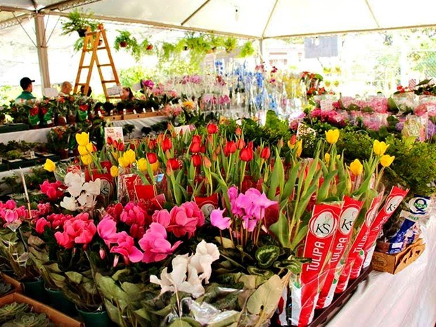 Ptio Cian Shopping realiza sua primeira edio do Festival de Flores