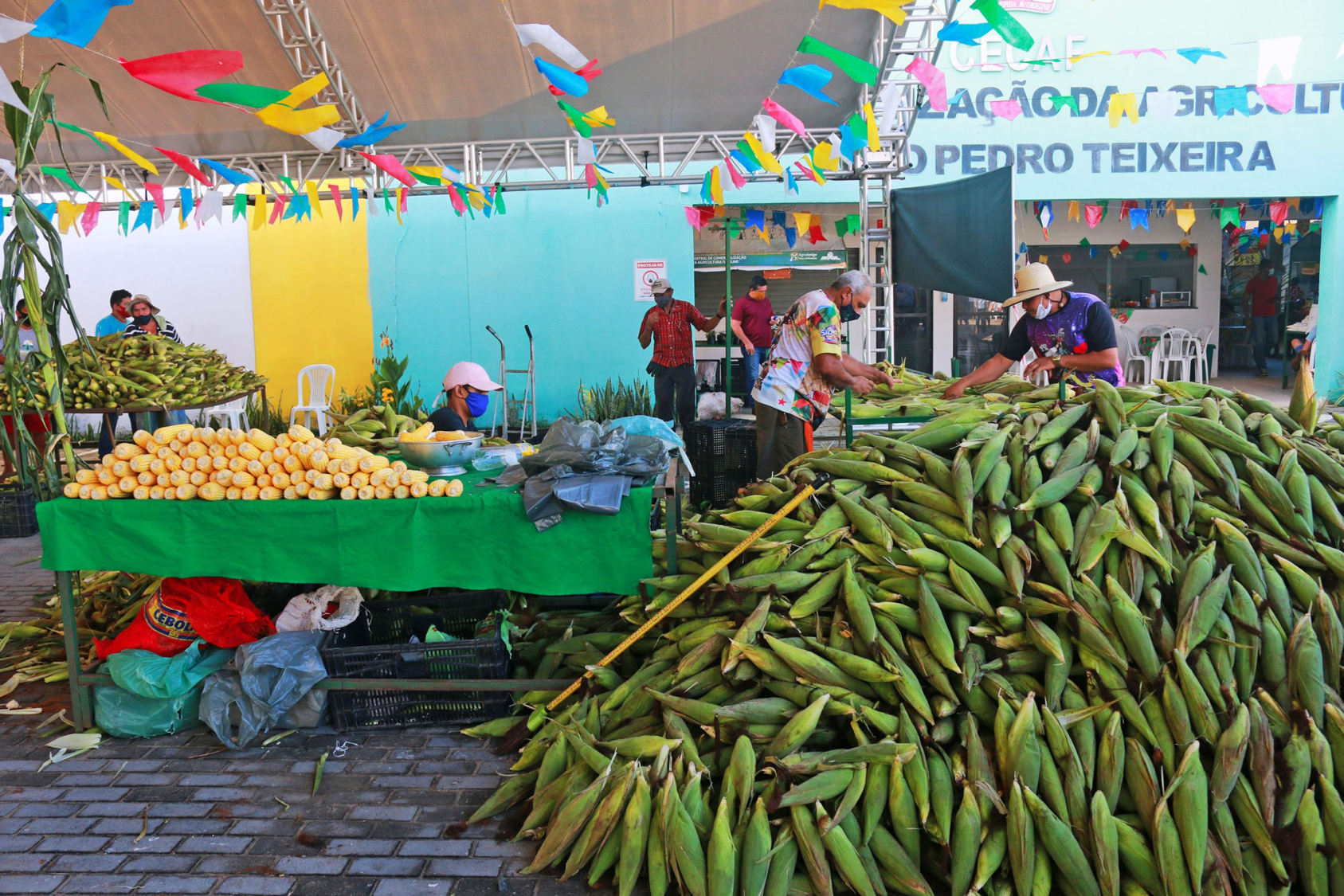 Feira do Milho em Campinas celebra sua 10 edio