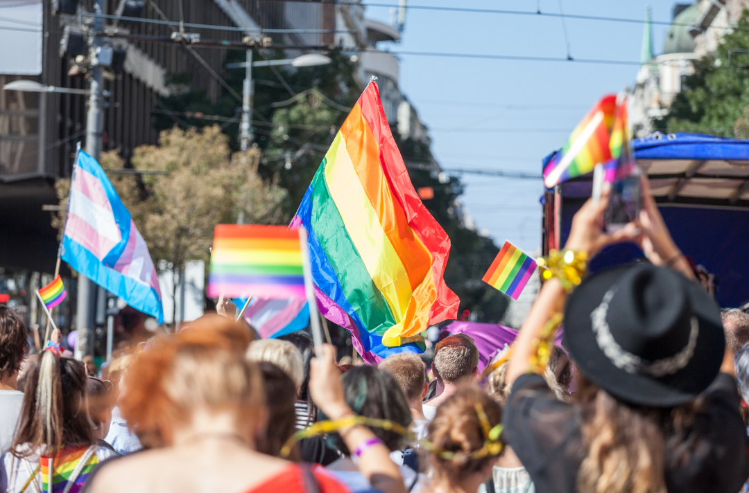 Governo lan�a site oficial da 4� Confer�ncia Nacional LGBTQIA+