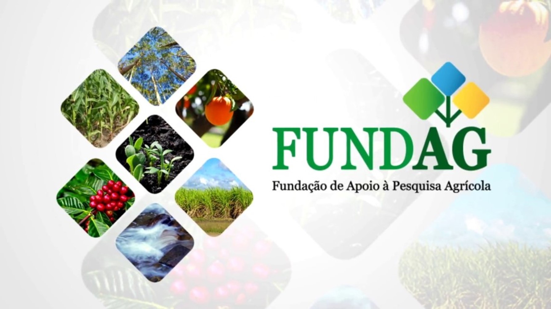 Trabalhadores da Fundag aprovam pauta da campanha salarial