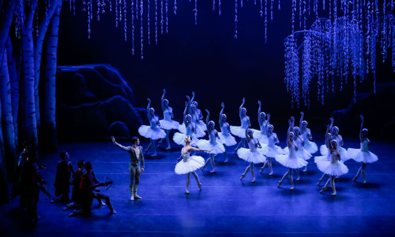 Campinas recebe “O Lago dos Cisnes” da São Paulo Companhia de Dança
